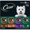 Cesar Poultry Variety Pack With Real Chicken, Turkey & Duck Grain-Free Small Breed Adult Wet Dog Food Trays 1 Cesar Poultry Variety Pack With Real Chicken, Turkey & Duck Grain-Free Small Breed Adult Wet Dog Food Trays -Snuggle Paws 86458 MAIN. AC SS1800 V1695650084