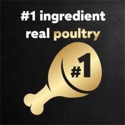 Cesar Poultry Variety Pack With Real Chicken, Turkey & Duck Grain-Free Small Breed Adult Wet Dog Food Trays 14 Cesar Poultry Variety Pack With Real Chicken, Turkey & Duck Grain-Free Small Breed Adult Wet Dog Food Trays -Snuggle Paws 86458 PT3. AC SS1800 V1695662246