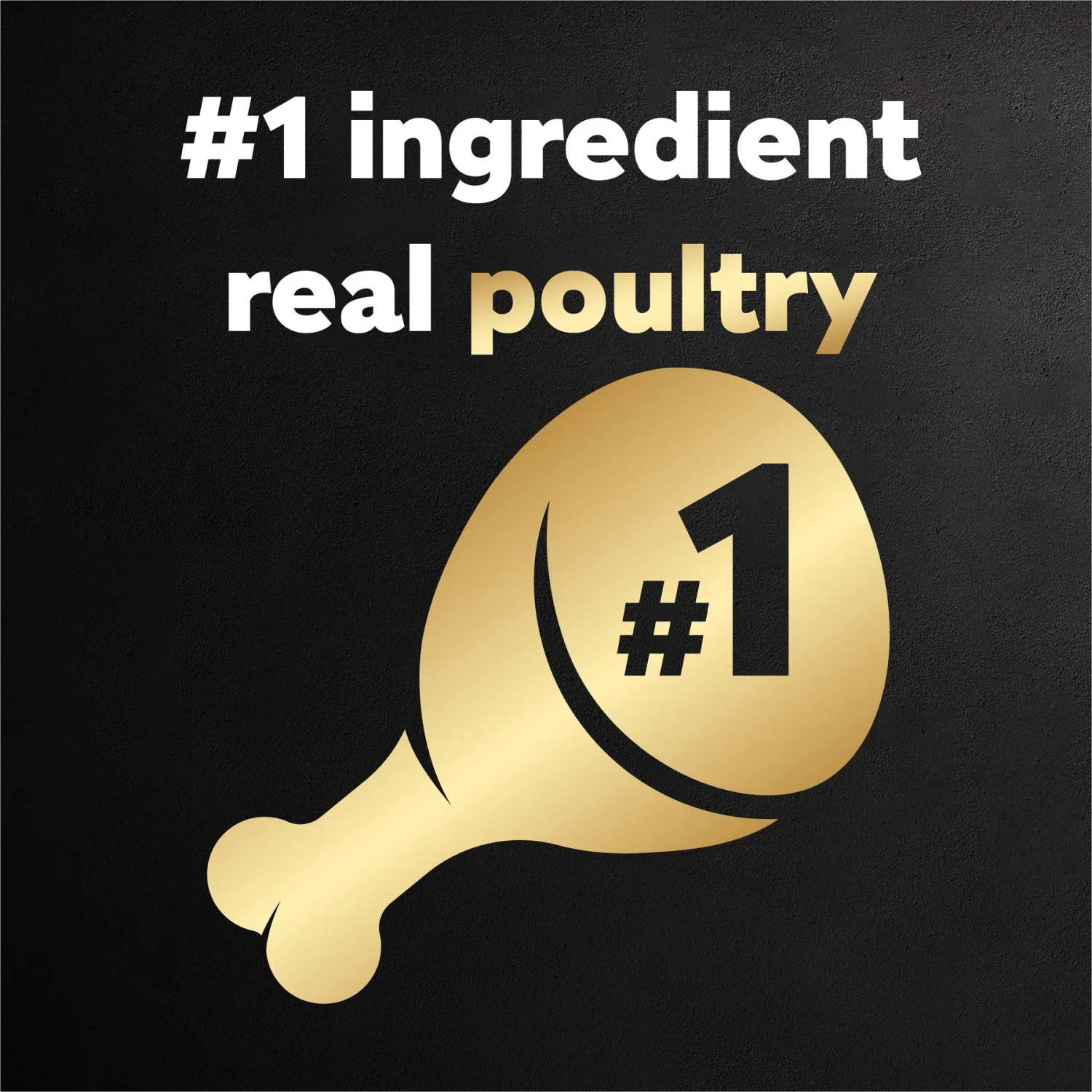 Cesar Poultry Variety Pack With Real Chicken, Turkey & Duck Grain-Free Small Breed Adult Wet Dog Food Trays 6 Cesar Poultry Variety Pack With Real Chicken, Turkey & Duck Grain-Free Small Breed Adult Wet Dog Food Trays - Image 4