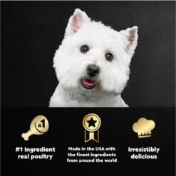 Cesar Poultry Variety Pack With Real Chicken, Turkey & Duck Grain-Free Small Breed Adult Wet Dog Food Trays 15 Cesar Poultry Variety Pack With Real Chicken, Turkey & Duck Grain-Free Small Breed Adult Wet Dog Food Trays -Snuggle Paws 86458 PT4. AC SS1800 V1695676340
