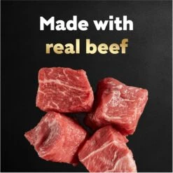 Cesar Filets In Gravy Beef Variety Pack Small Breed Adult Wet Dog Food Trays -Snuggle Paws 86464 PT3. AC SS1800 V1695666352