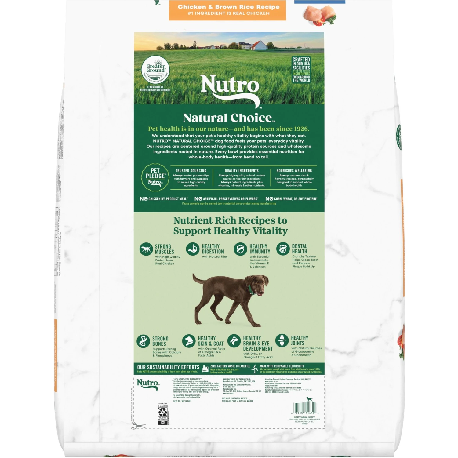 Nutro Natural Choice Large Breed Puppy Chicken & Brown Rice Recipe Dry Dog Food 4 Nutro Natural Choice Large Breed Puppy Chicken & Brown Rice Recipe Dry Dog Food - Image 2
