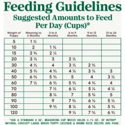 Nutro Natural Choice Large Breed Puppy Chicken & Brown Rice Recipe Dry Dog Food 17 Nutro Natural Choice Large Breed Puppy Chicken & Brown Rice Recipe Dry Dog Food -Snuggle Paws 86698 PT6. AC SS1800 V1691421960