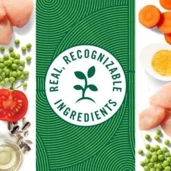 Nutro Hearty Stew Tender Chicken, Carrot & Pea Stew Grain-Free Canned Adult Wet Dog Food 15 Nutro Hearty Stew Tender Chicken, Carrot & Pea Stew Grain-Free Canned Adult Wet Dog Food -Snuggle Paws 86742 PT4. AC SS1800 V1691418396