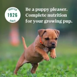 Nutro Puppy Tender Grain-Free Chicken, Sweet Potato & Pea Recipe Bites In Gravy Wet Dog Food Trays -Snuggle Paws 86748 PT7. AC SS1800 V1691416148