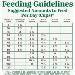 Nutro Natural Choice Large Breed Puppy Lamb & Brown Rice Recipe Dry Dog Food 17 Nutro Natural Choice Large Breed Puppy Lamb & Brown Rice Recipe Dry Dog Food -Snuggle Paws 86777 PT6. AC SS1800 V1691423639