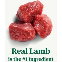 Nutro Natural Choice Large Breed Puppy Lamb & Brown Rice Recipe Dry Dog Food 18 Nutro Natural Choice Large Breed Puppy Lamb & Brown Rice Recipe Dry Dog Food -Snuggle Paws 86777 PT7. AC SS1800 V1691416149