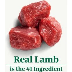 Nutro Natural Choice Small Bites Adult Lamb & Brown Rice Recipe Dry Dog Food 14 Nutro Natural Choice Small Bites Adult Lamb & Brown Rice Recipe Dry Dog Food -Snuggle Paws 86784 PT3. AC SS1800 V1691423585