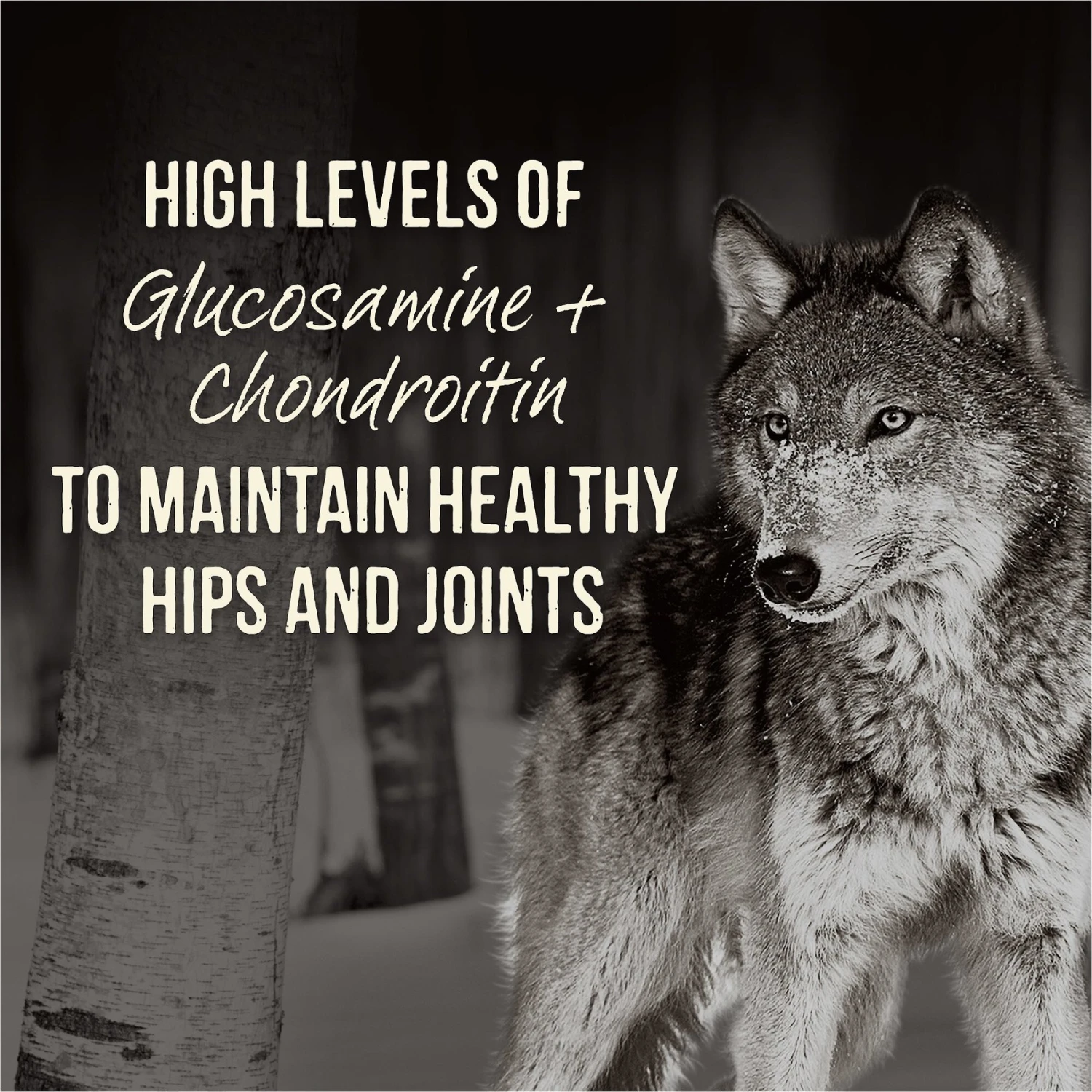 Merrick Backcountry Grain-Free 96% Real Beef Dinner Recipe Canned Dog Food 5 Merrick Backcountry Grain-Free 96% Real Beef Dinner Recipe Canned Dog Food - Image 3