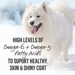 Merrick Backcountry Grain-Free 96% Real Beef Dinner Recipe Canned Dog Food 16 Merrick Backcountry Grain-Free 96% Real Beef Dinner Recipe Canned Dog Food -Snuggle Paws 86947 PT5. AC SS1800 V1636585062