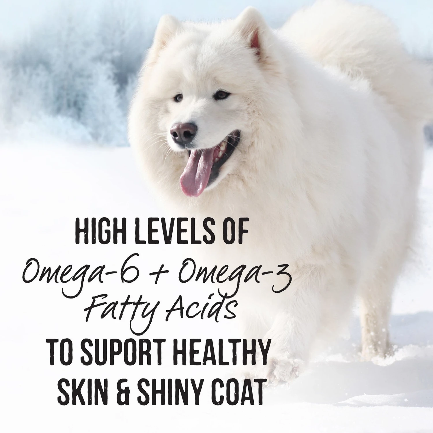 Merrick Backcountry Grain-Free 96% Real Beef Dinner Recipe Canned Dog Food 8 Merrick Backcountry Grain-Free 96% Real Beef Dinner Recipe Canned Dog Food - Image 6