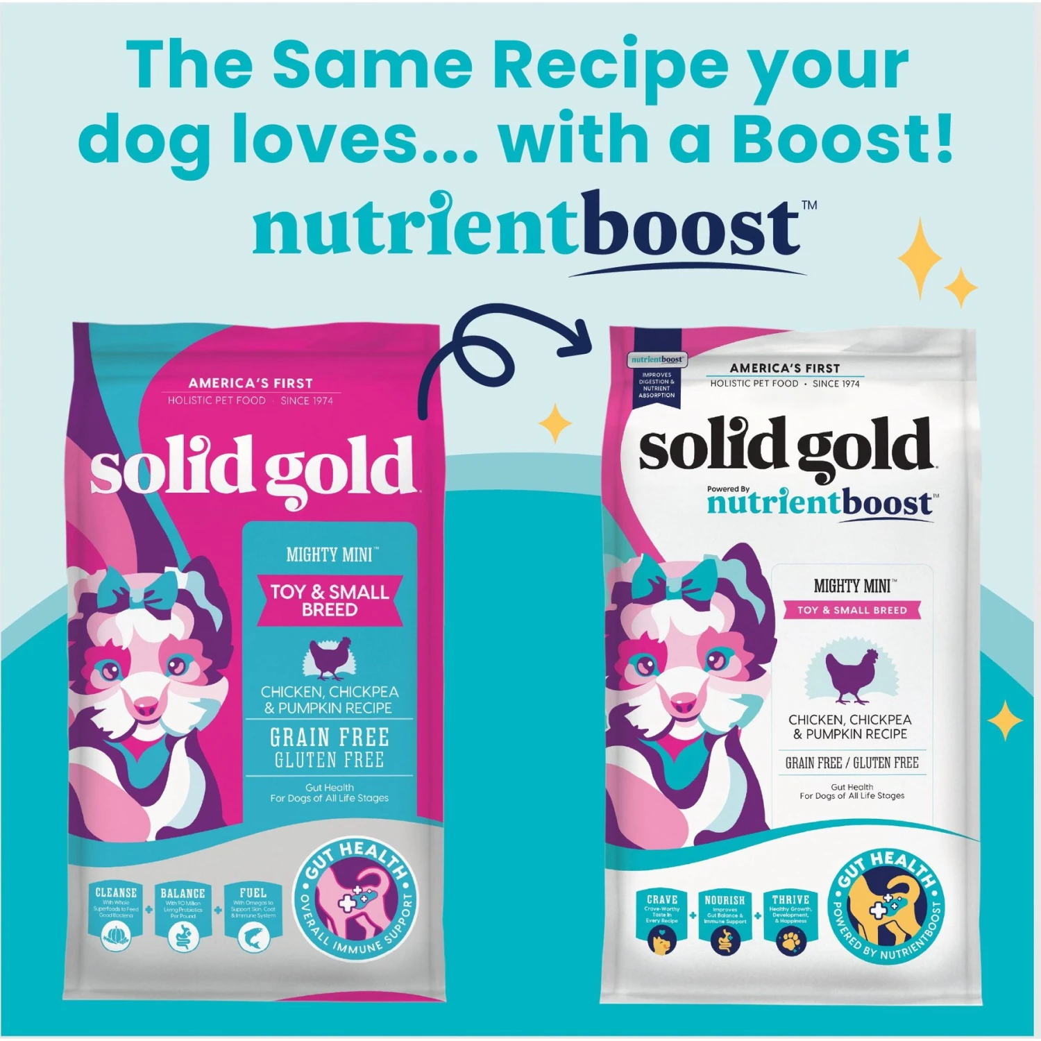 Solid Gold NutrientBoost Mighty Mini Gut Health Small & Toy Breed Grain-Free Chicken, Chickpea & Pumpkin Dry Dog Food 4 Solid Gold NutrientBoost Mighty Mini Gut Health Small & Toy Breed Grain-Free Chicken, Chickpea & Pumpkin Dry Dog Food - Image 2