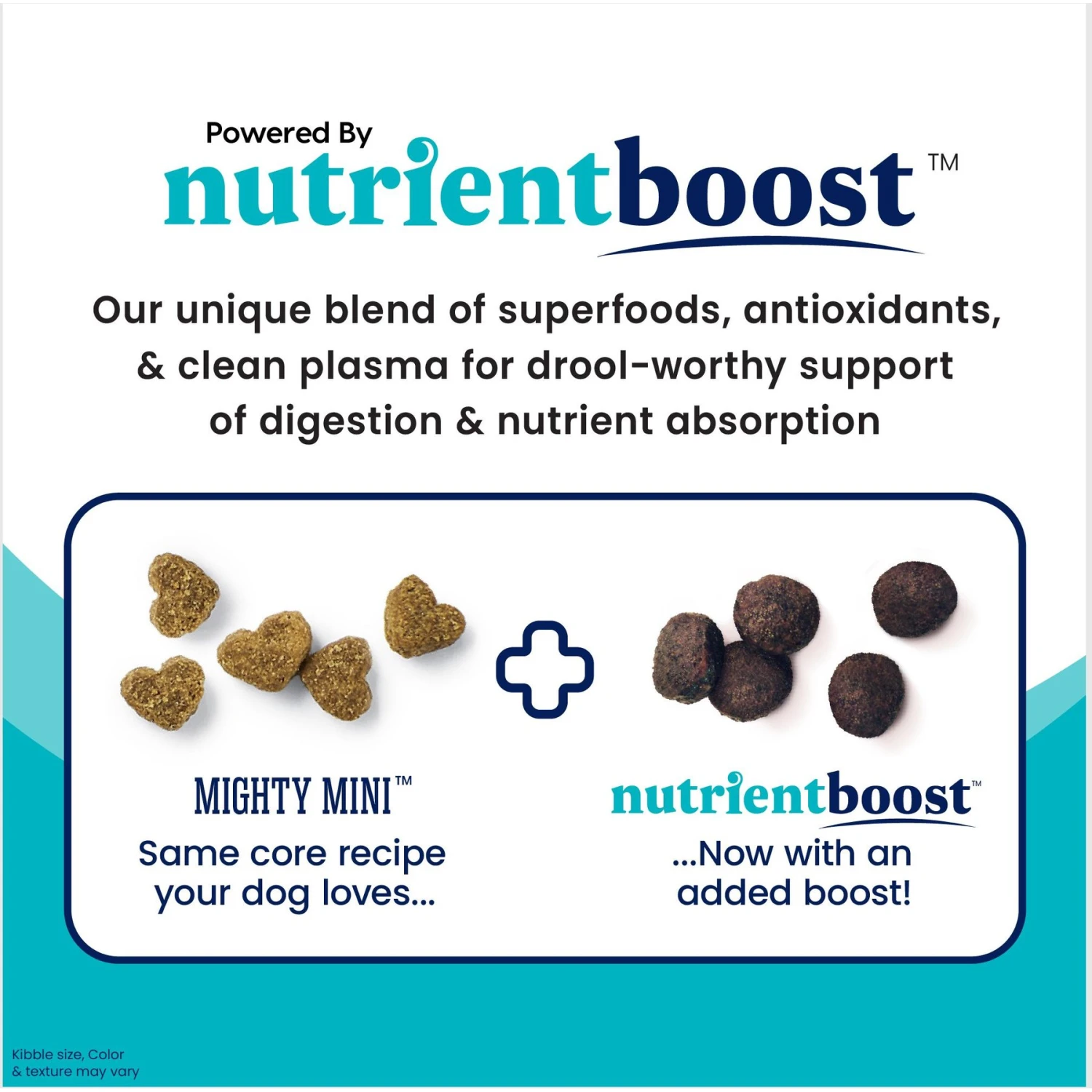 Solid Gold NutrientBoost Mighty Mini Gut Health Small & Toy Breed Grain-Free Chicken, Chickpea & Pumpkin Dry Dog Food 5 Solid Gold NutrientBoost Mighty Mini Gut Health Small & Toy Breed Grain-Free Chicken, Chickpea & Pumpkin Dry Dog Food - Image 3