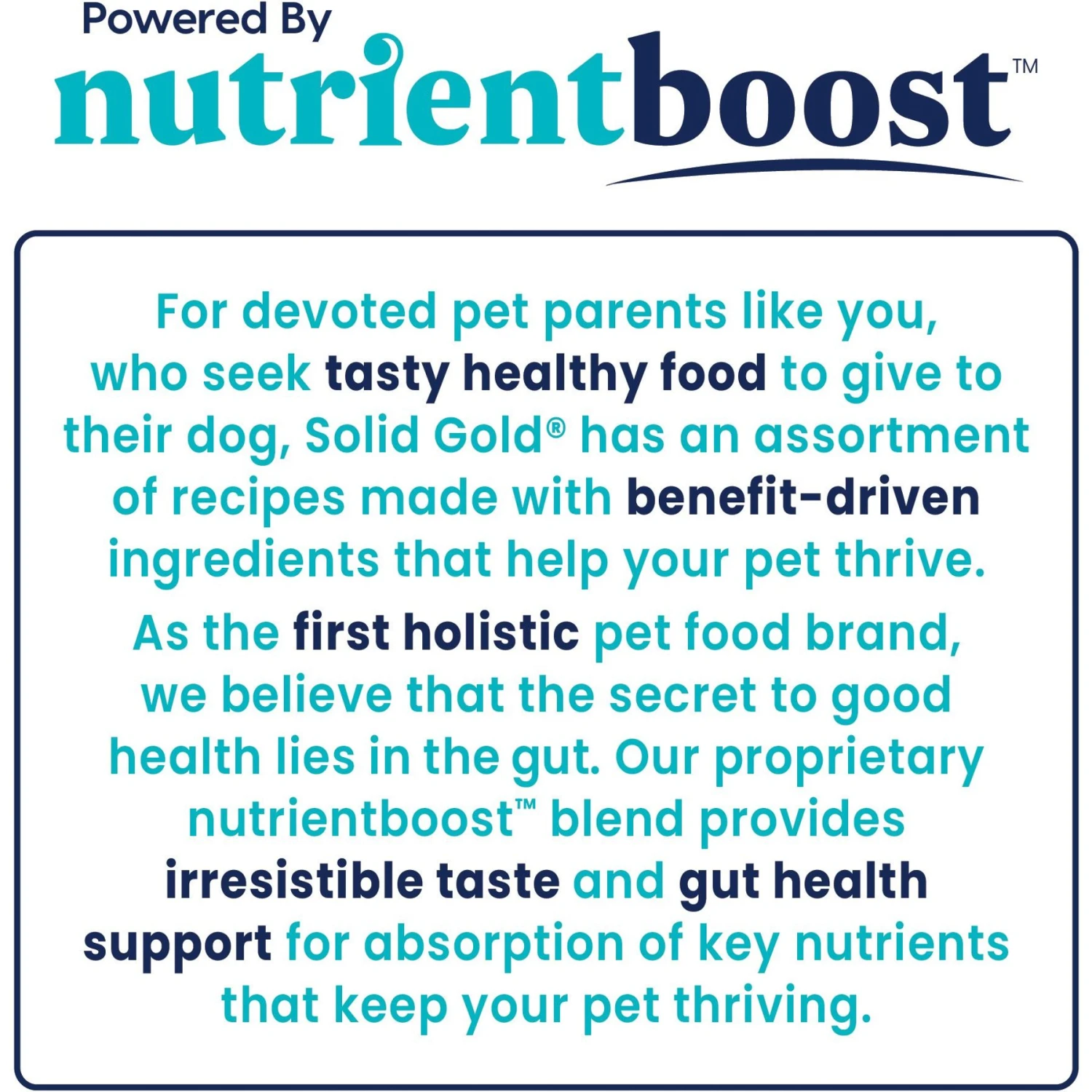 Solid Gold NutrientBoost Mighty Mini Gut Health Small & Toy Breed Grain-Free Chicken, Chickpea & Pumpkin Dry Dog Food 8 Solid Gold NutrientBoost Mighty Mini Gut Health Small & Toy Breed Grain-Free Chicken, Chickpea & Pumpkin Dry Dog Food - Image 6