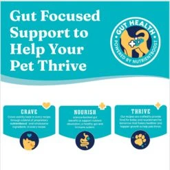 Solid Gold NutrientBoost Mighty Mini Gut Health Small & Toy Breed Grain-Free Chicken, Chickpea & Pumpkin Dry Dog Food 18 Solid Gold NutrientBoost Mighty Mini Gut Health Small & Toy Breed Grain-Free Chicken, Chickpea & Pumpkin Dry Dog Food -Snuggle Paws 870430 PT7. AC SS1800 V1695999592
