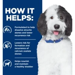 Hill's Prescription Diet C/d Multicare Urinary Care Chicken Flavor Dry Dog Food -Snuggle Paws 87463 PT3. AC SS1800 V1651194158