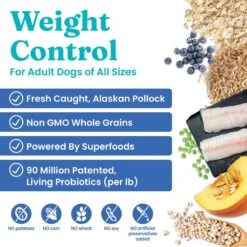 Solid Gold Fit & Fabulous Low Fat/Low Calorie With Fresh Caught Alaskan Pollock Adult Dry Dog Food -Snuggle Paws 87494 PT1. AC SS1800 V1695999061