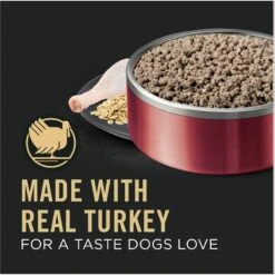 Purina Pro Plan Adult Sensitive Skin & Stomach Turkey & Oat Meal Entree​ Wet Dog Food, 13-oz Can, Case Of 12 -Snuggle Paws 877726 PT2. AC SS1800 V1686070756