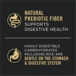 Purina Pro Plan Adult Sensitive Skin & Stomach Salmon & Lamb Wet Dog Food, 13-oz Can, Case Of 12 -Snuggle Paws 877742 PT3. AC SS1800 V1686070814