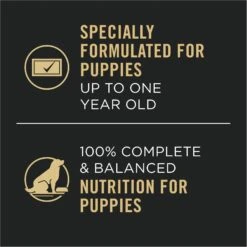 Purina Pro Plan Development Variety Pack Puppy Grain-Free Chicken Entree & Turkey Entree Wet Dog Food, 13-oz Can, Case Of 12 -Snuggle Paws 877758 PT6. AC SS1800 V1686070758