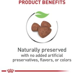 Royal Canin Size Health Nutrition Small Indoor Puppy Dry Dog Food -Snuggle Paws 88062 PT3. AC SS1800 V1697213833