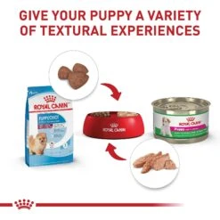 Royal Canin Size Health Nutrition Small Indoor Puppy Dry Dog Food -Snuggle Paws 88062 PT5. AC SS1800 V1697216114