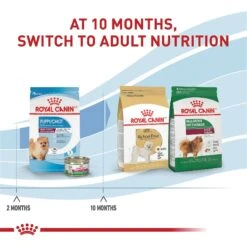 Royal Canin Size Health Nutrition Small Indoor Puppy Dry Dog Food -Snuggle Paws 88062 PT6. AC SS1800 V1697212368