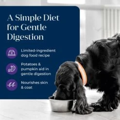 Blue Buffalo Basics Skin & Stomach Care Grain-Free Turkey & Potato Senior Canned Dog Food -Snuggle Paws 88193 PT2. AC SS1800 V1646251343