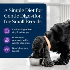 Blue Buffalo Basics Skin & Stomach Care Grain-Free Turkey & Potato Small Breed Adult Wet Dog Food -Snuggle Paws 88199 PT2. AC SS1800 V1646253728