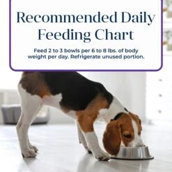Blue Buffalo Basics Skin & Stomach Care Grain-Free Turkey & Potato Small Breed Adult Wet Dog Food -Snuggle Paws 88199 PT8. AC SS1800 V1646256096