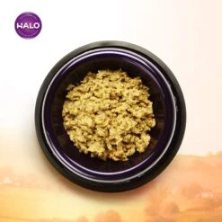 Halo Holistic Garden Of Vegan Recipe Adult Canned Dog Food & Halo Holistic Vegan Dog Food Complete Digestive Health Plant-Based Recipe With Superfoods Adult Formula Dry Dog Food -Snuggle Paws 882750 PT4. AC SS1800 V1686162182