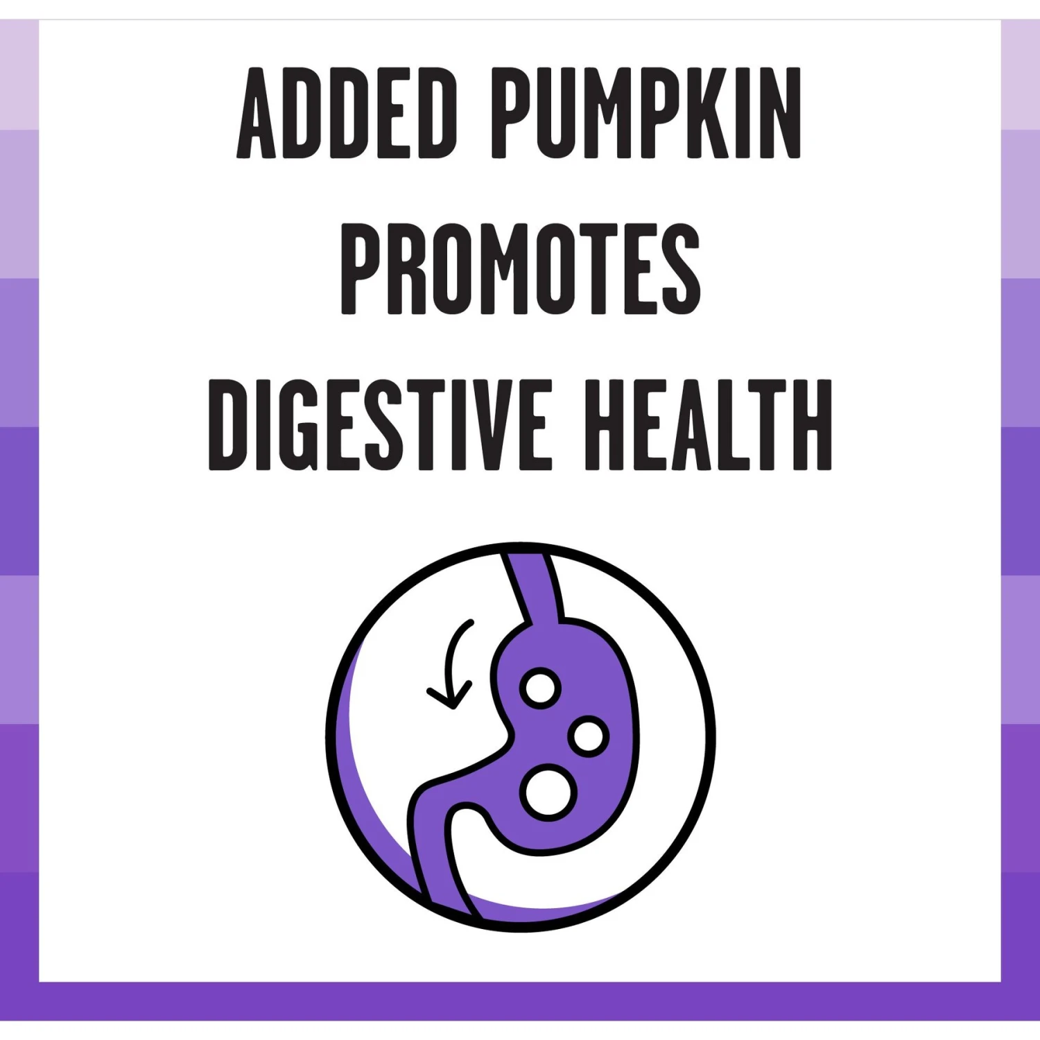 BIXBI Rawbble Grain-Free Canned Lamb Recipe Wet Dog Food, 12.5-oz Can, Case Of 12 5 BIXBI Rawbble Grain-Free Canned Lamb Recipe Wet Dog Food, 12.5-oz Can, Case Of 12 - Image 3