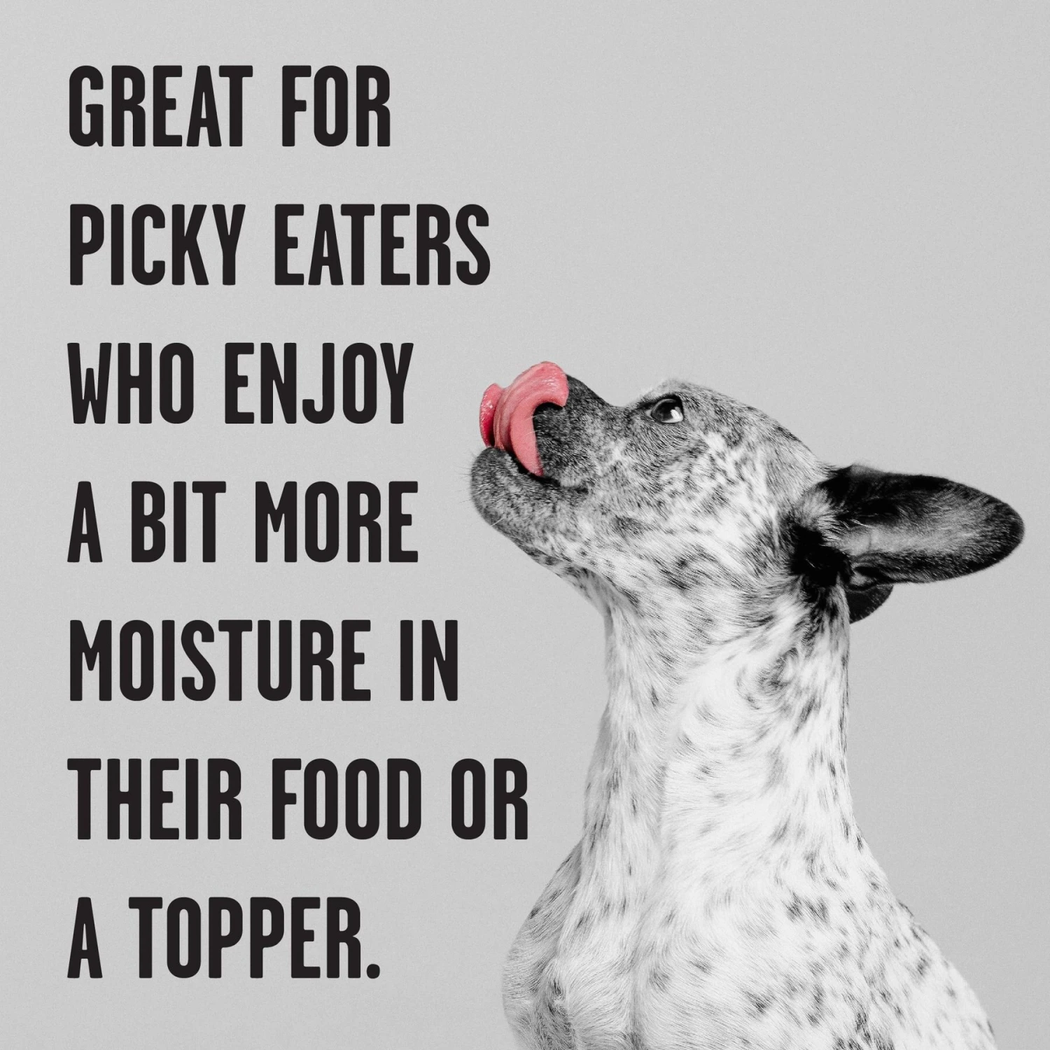 BIXBI Rawbble Grain-Free Canned Lamb Recipe Wet Dog Food, 12.5-oz Can, Case Of 12 6 BIXBI Rawbble Grain-Free Canned Lamb Recipe Wet Dog Food, 12.5-oz Can, Case Of 12 - Image 4