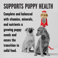 BIXBI Rawbble Grain-Free Canned Turkey Recipe Wet Dog Food For Puppies, 12.5-oz Can, Case Of 12 -Snuggle Paws 895262 PT2. AC SS1800 V1689017844