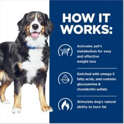 Hill's Prescription Diet Metabolic + Mobility J/d Chicken Flavor Dry Dog Food -Snuggle Paws 89568 PT5. AC SS1800 V1651697188