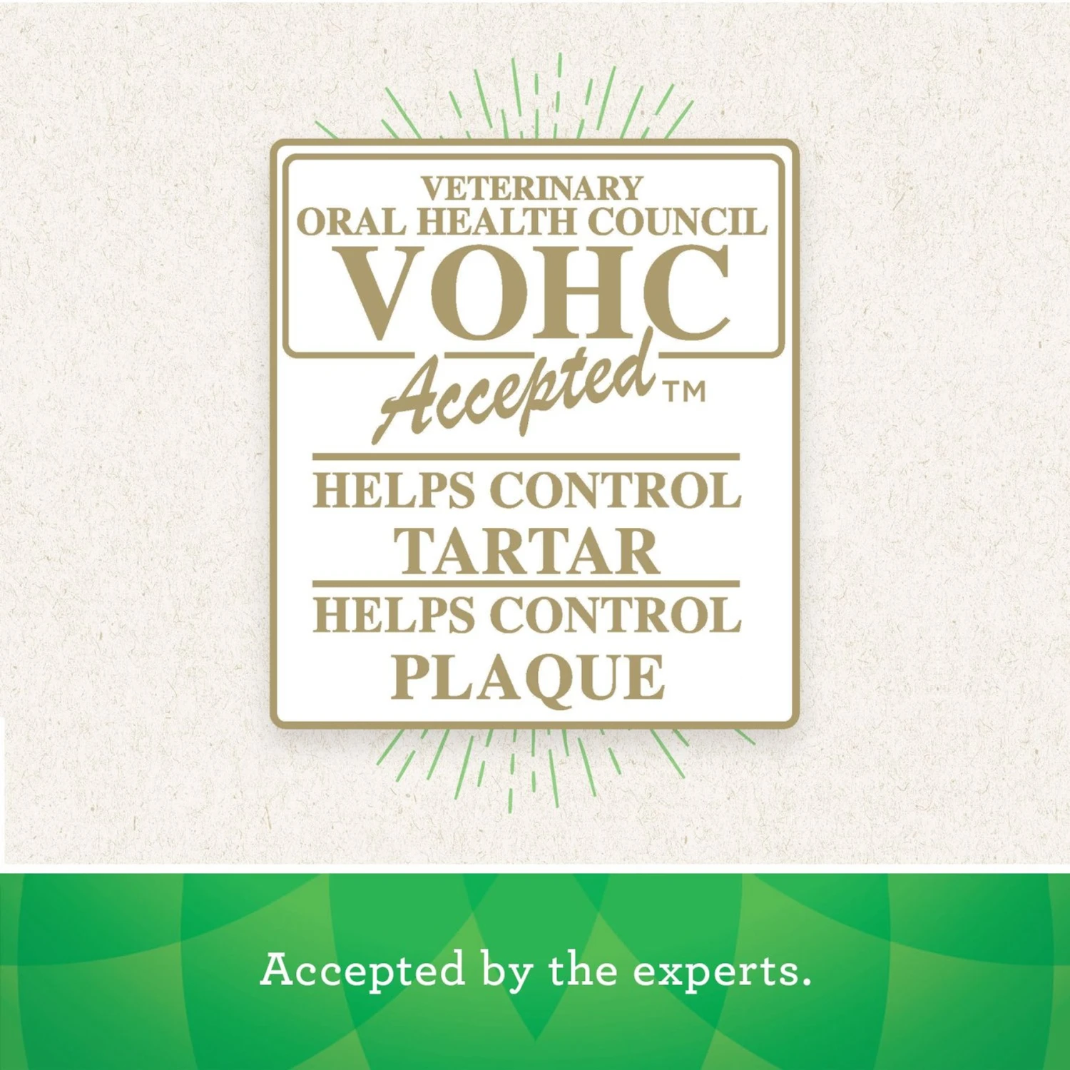 Greenies Gingerbread Flavor Regular Dental Dog Treats, 12 Count 11 Greenies Gingerbread Flavor Regular Dental Dog Treats, 12 Count - Image 9