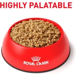 Royal Canin Veterinary Diet Adult Renal Support E Loaf Canned Dog Food -Snuggle Paws 90643 PT2. AC SS1800 V1701379574