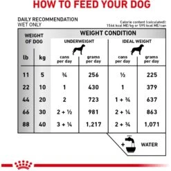 Royal Canin Veterinary Diet Adult Renal Support T Loaf Canned Dog Food -Snuggle Paws 90644 PT6. AC SS1800 V1701379570