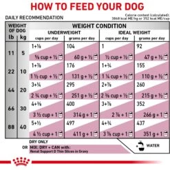 Royal Canin Veterinary Diet Adult Renal Support A Dry Dog Food -Snuggle Paws 90646 PT8. AC SS1800 V1701379829