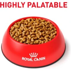 Royal Canin Veterinary Diet Adult Renal Support S Dry Dog Food -Snuggle Paws 90649 PT2. AC SS1800 V1701379828