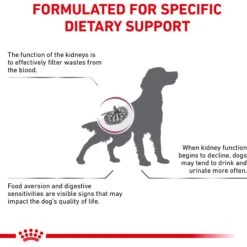Royal Canin Veterinary Diet Adult Renal Support S Dry Dog Food -Snuggle Paws 90649 PT5. AC SS1800 V1701379827