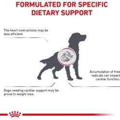 Royal Canin Veterinary Diet Adult Renal Support D Thin Slices In Gravy Canned Dog Food -Snuggle Paws 90673 PT5. AC SS1800 V1701379766
