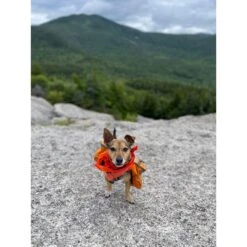 Ben's Insect Shield Bandana For Dogs -Snuggle Paws 908278 PT3. AC SS1800 V1689630630