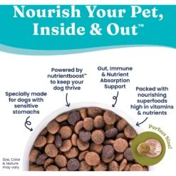 Solid Gold Nutrientboost Buck Wild Sensitive Stomach Grain-Free Wild Venison, Potato & Pumpkin Dry Dog Food -Snuggle Paws 910062 PT4. AC SS1800 V1688760636