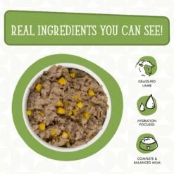 Weruva Dogs In The Kitchen Lamburgini With Lamb & Pumpkin Au Jus Grain-Free Canned Dog Food -Snuggle Paws 91024 PT2. AC SS1800 V1700860220