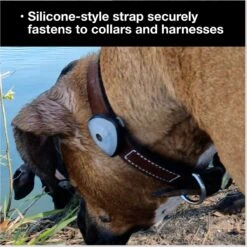 Max & Molly Soundshield 24/7 UltraSonic Tick & Flea Repeller Dog Tag -Snuggle Paws 910782 PT6. AC SS1800 V1698939693