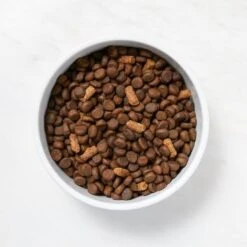 Martha Stewart Pet Food Salmon & Quinoa Recipe With Garden Vegetables Dry Dog Food -Snuggle Paws 910998 PT2. AC SS1800 V1692208012