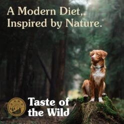 Taste Of The Wild Pine Forest Grain-Free Dry Dog Food -Snuggle Paws 91471 PT5. AC SS1800 V1641261105