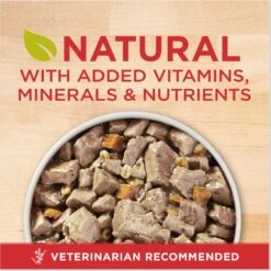 Purina ONE SmartBlend Tender Cuts In Gravy Beef & Barley Entree Adult Canned Dog Food 12 Purina ONE SmartBlend Tender Cuts In Gravy Beef & Barley Entree Adult Canned Dog Food -Snuggle Paws 91565 PT1. AC SS1800 V1671814741
