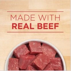 Purina ONE SmartBlend Tender Cuts In Gravy Beef & Barley Entree Adult Canned Dog Food 13 Purina ONE SmartBlend Tender Cuts In Gravy Beef & Barley Entree Adult Canned Dog Food -Snuggle Paws 91565 PT2. AC SS1800 V1671815170